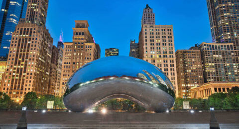 chicago-is-now-moxie-pest-control-chicago-north-image